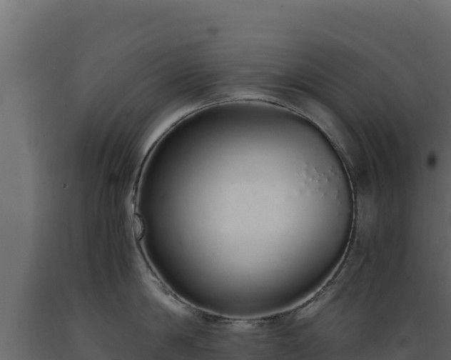 X0000089930814200707061038