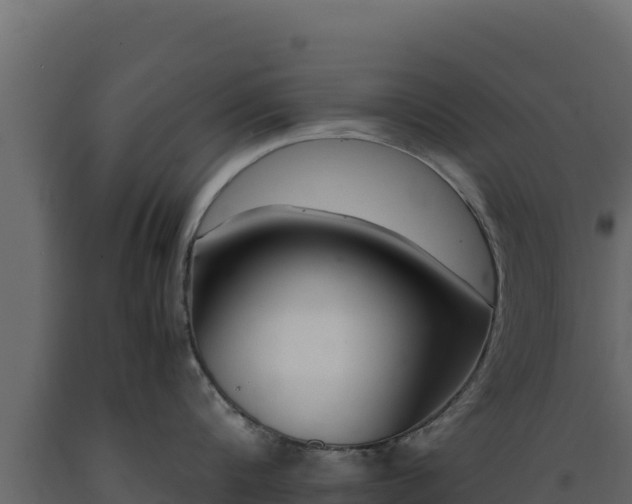 X0000089930816200707061038