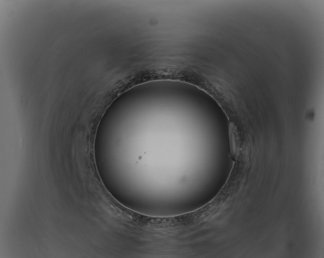 X0000089930817200707061037