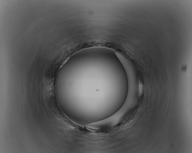 X0000089930818200707061037