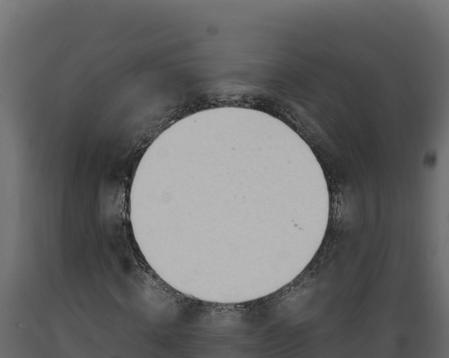 X0000089930820200707061037