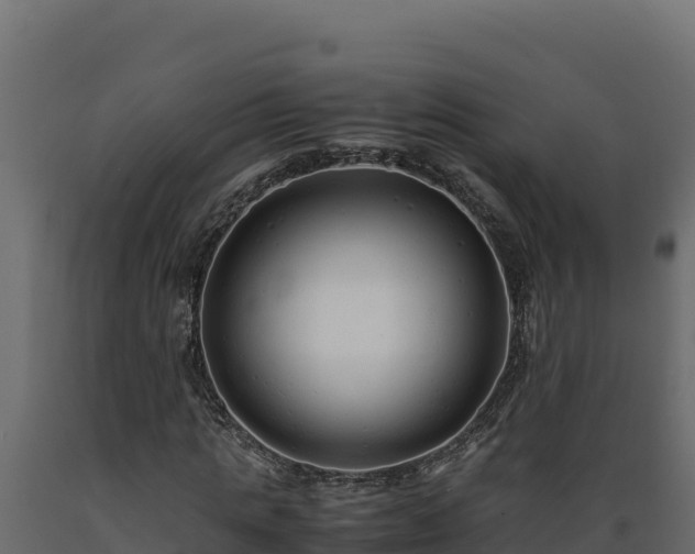 X0000089930821200707061037