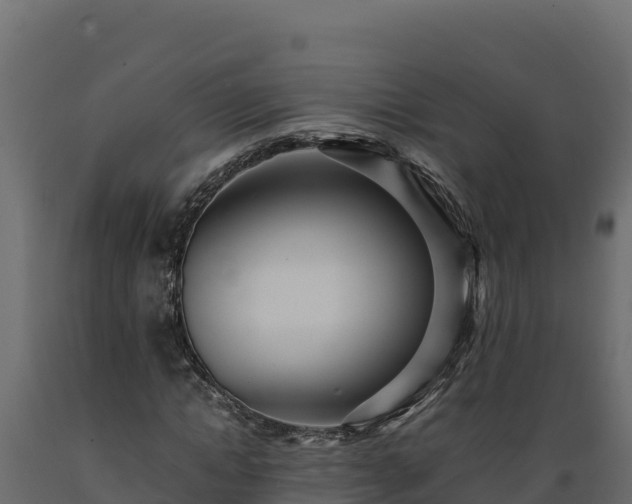 X0000089930822200707061037