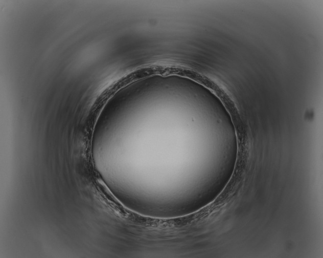 X0000089930823200707061037