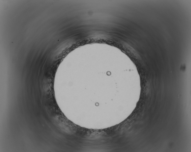 X0000089930824200707061038