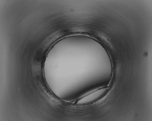 X0000089930825200707061038