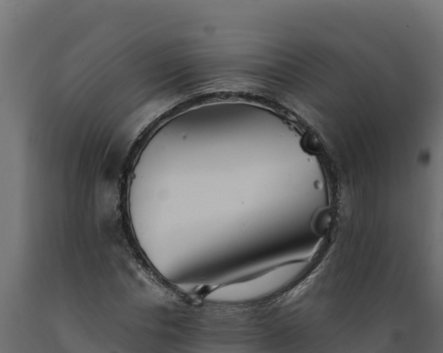 X0000089930826200707061038