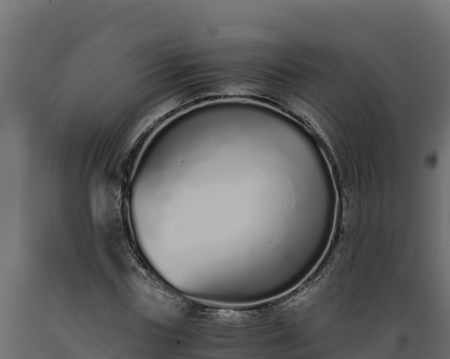 X0000089930827200707061038