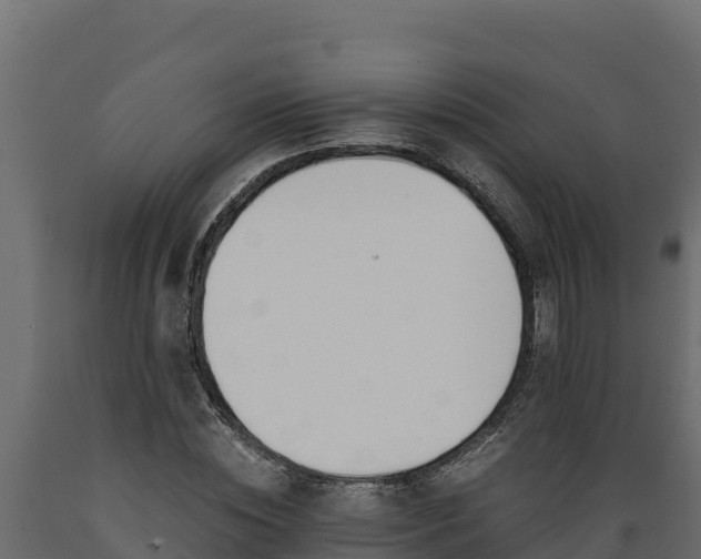 X0000089930828200707061038