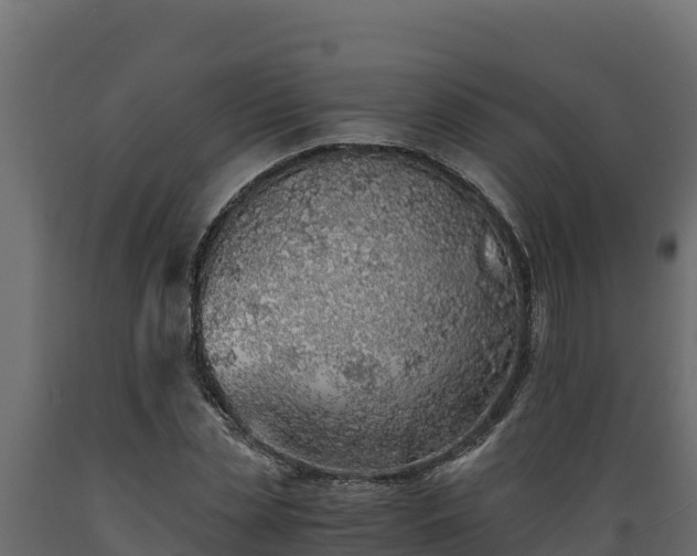 X0000089930829200707061038