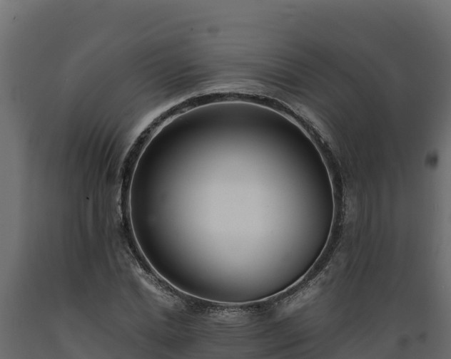 X0000089930830200707061038