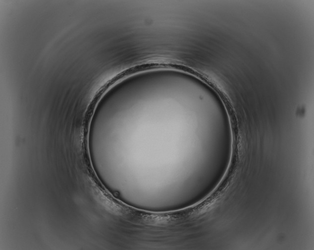 X0000089930831200707061038