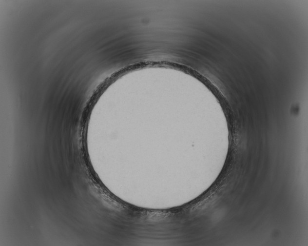 X0000089930832200707061038