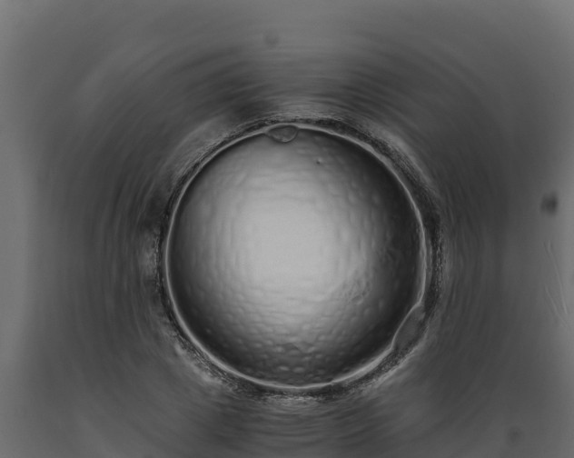 X0000089930833200707061038