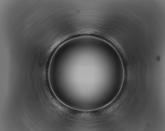 X0000089930834200707061038