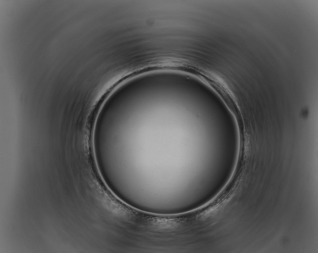 X0000089930835200707061038