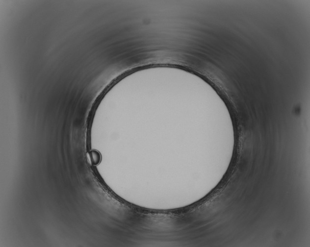 X0000089930836200707061038