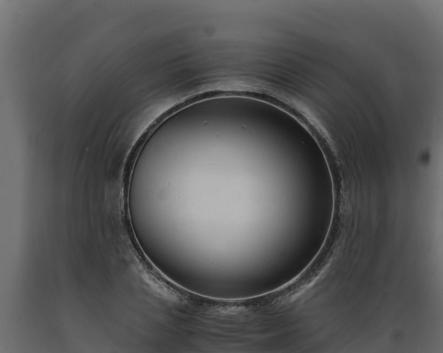 X0000089930837200707061038