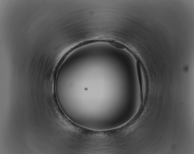 X0000089930838200707061038