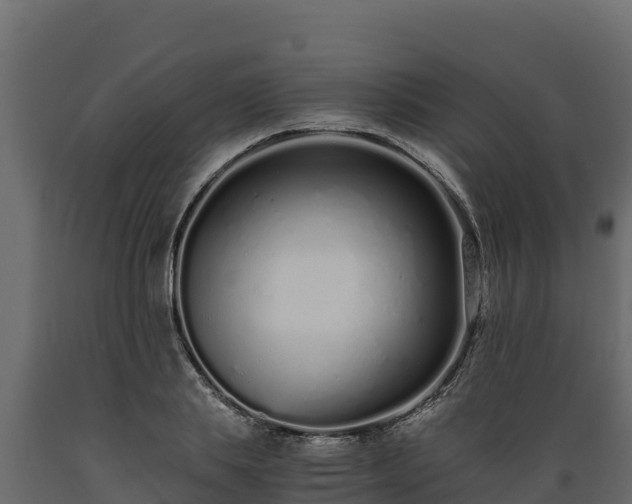 X0000089930839200707061038