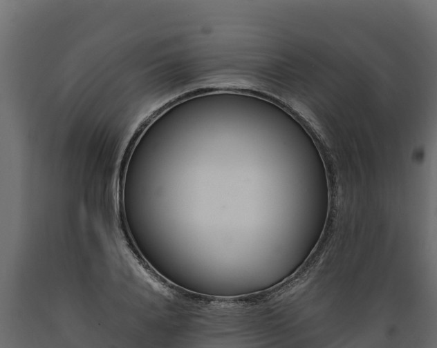 X0000089930840200707061038