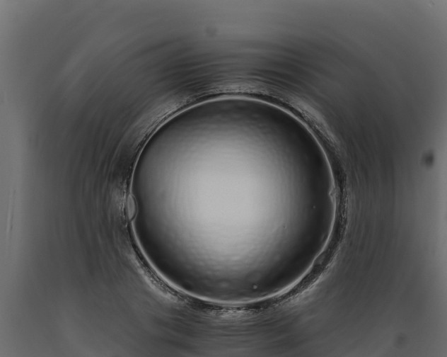 X0000089930841200707061038