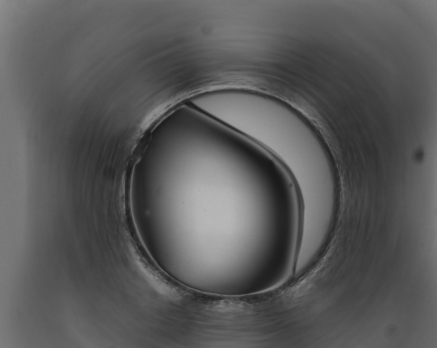 X0000089930842200707061038