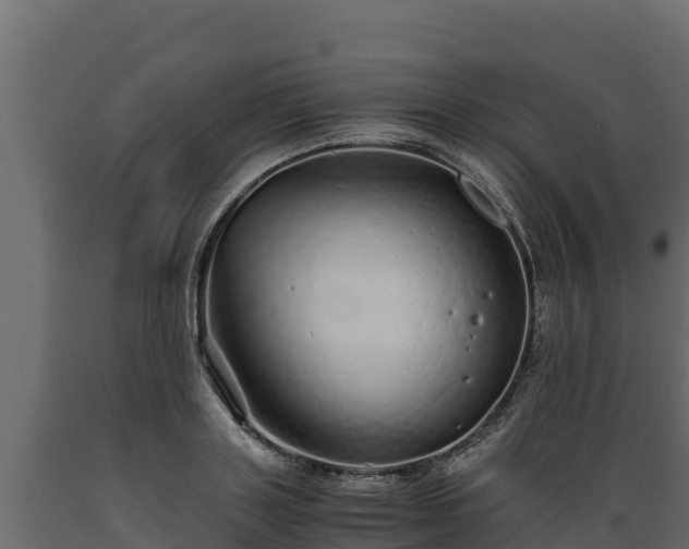 X0000089930843200707061038