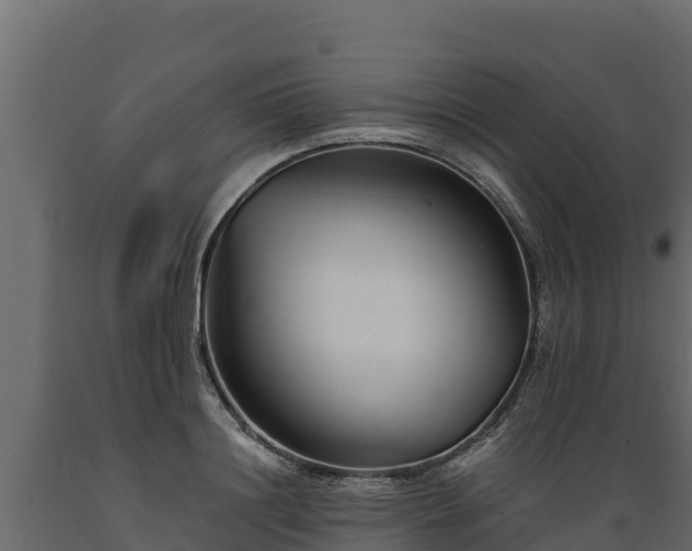 X0000089930844200707061038