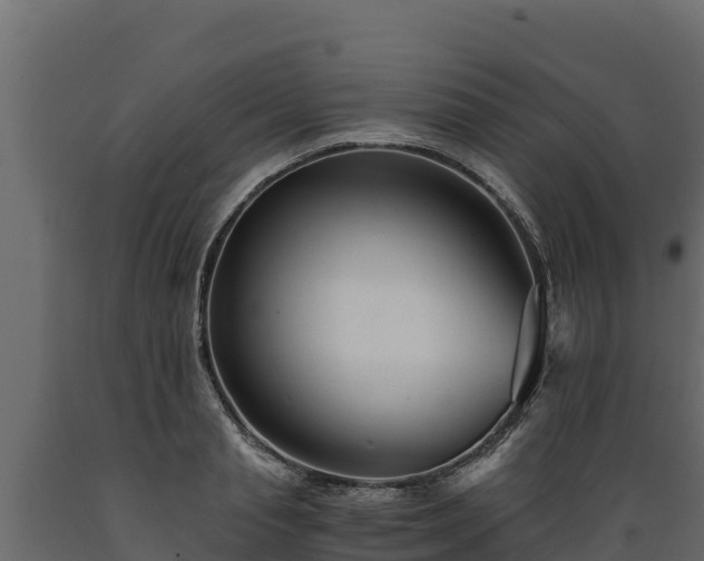 X0000089930845200707061038