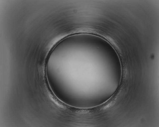 X0000089930846200707061038