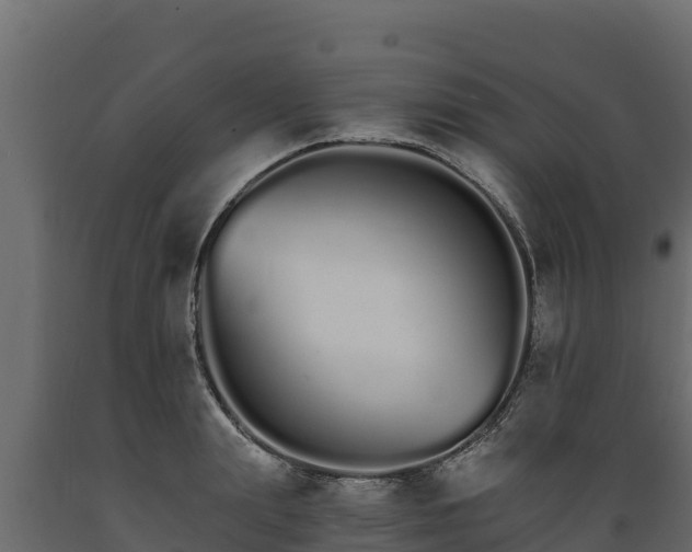 X0000089930847200707061038