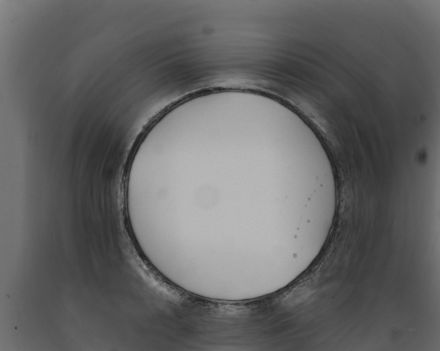 X0000089930848200707061038