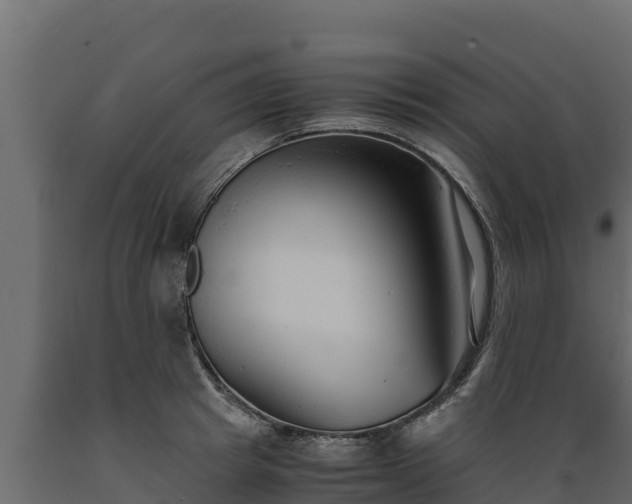 X0000089930849200707061038