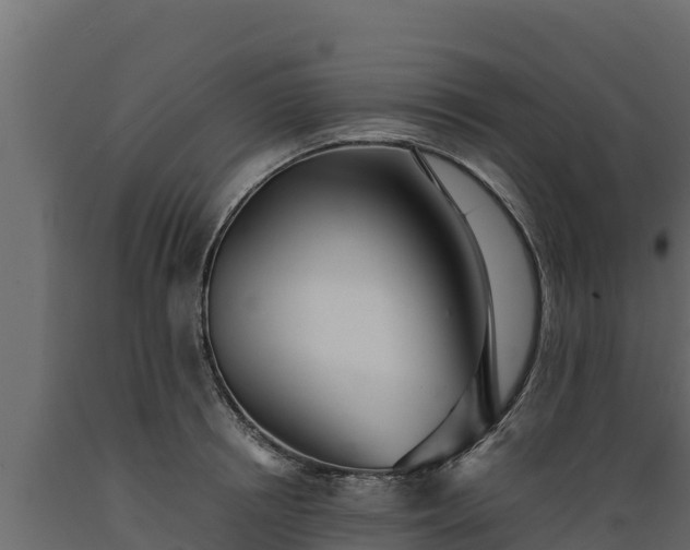 X0000089930850200707061038