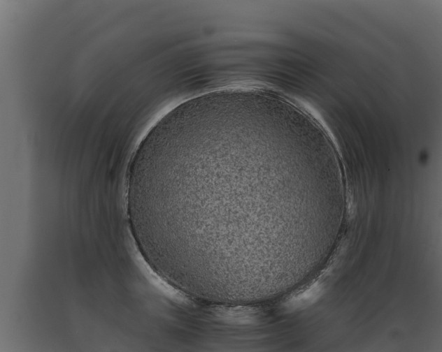 X0000089930851200707061038