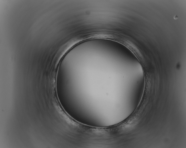 X0000089930852200707061038