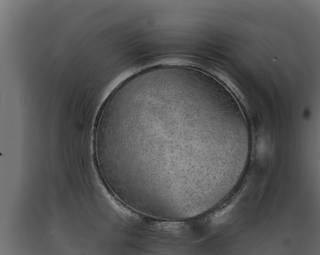 X0000089930853200707061038