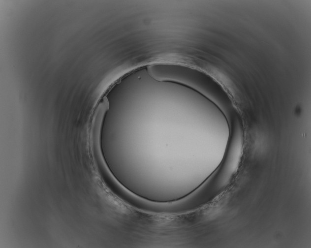 X0000089930854200707061038