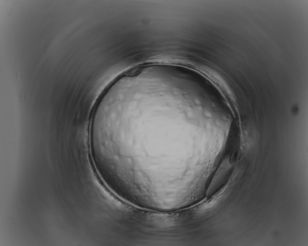 X0000089930855200707061038