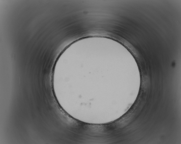 X0000089930856200707061038