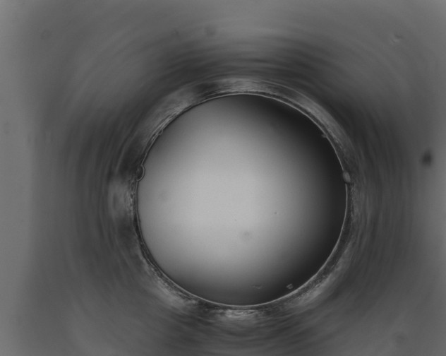 X0000089930857200707061038