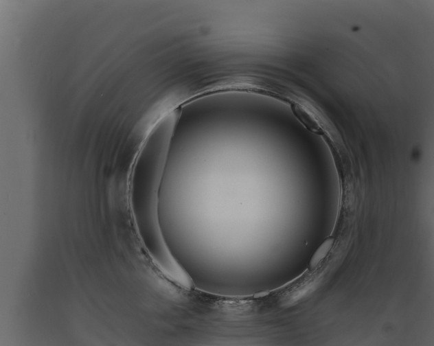 X0000089930858200707061038