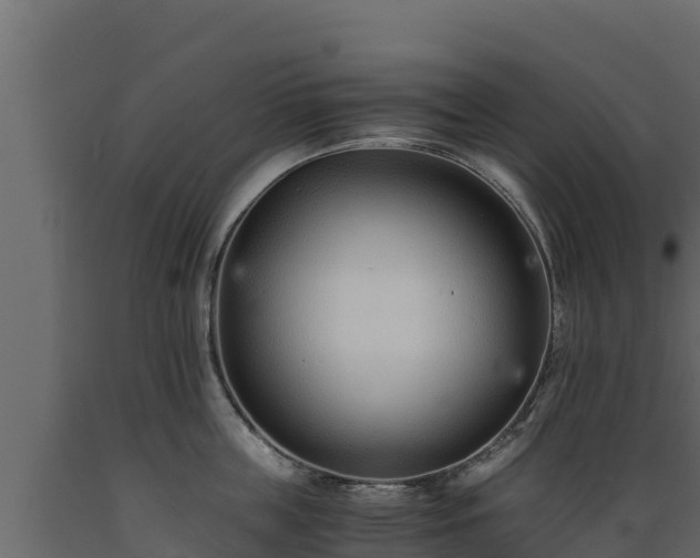 X0000089930859200707061038