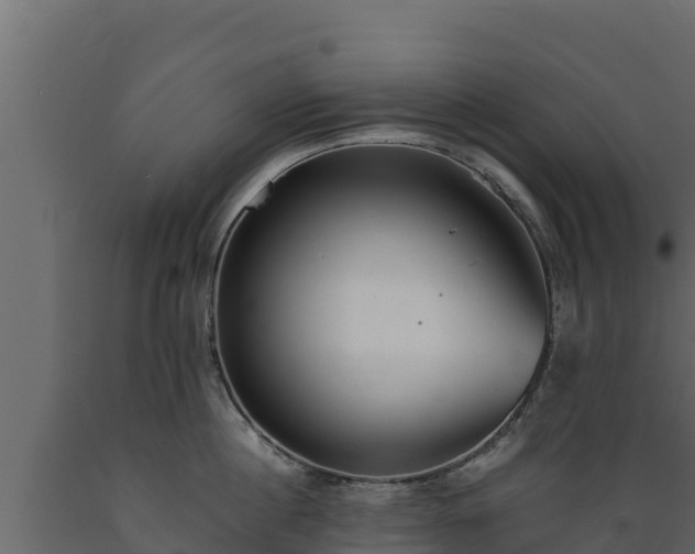 X0000089930860200707061038