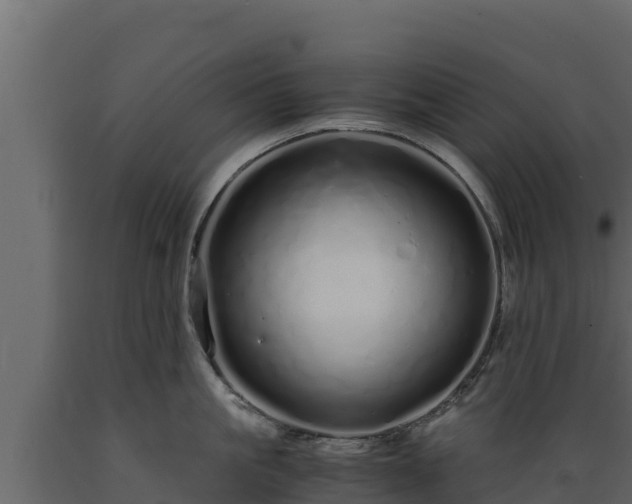 X0000089930861200707061038