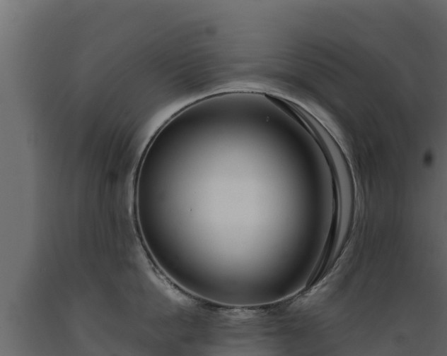 X0000089930862200707061038