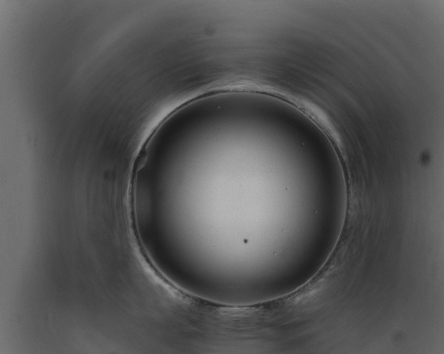 X0000089930863200707061038