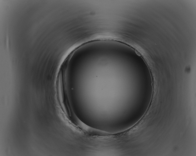 X0000089930864200707061038