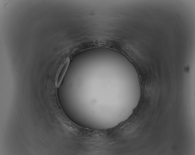 X0000089930865200707061037